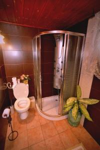 米纳Suite in nature的浴室配有淋浴和卫生间。