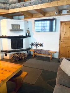 列维Liirakka Levi的客厅设有壁炉和沙发。