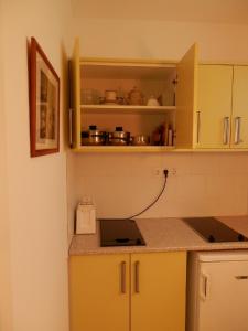 布达厄尔什斯奇公寓的厨房配有黄色橱柜和台面