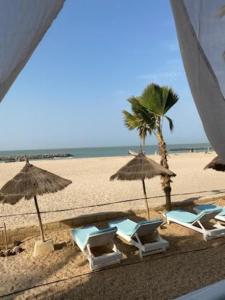 萨利尼亚拉尔West AFRICAN BEACH的海滩上摆放着椅子和遮阳伞,还有棕榈树