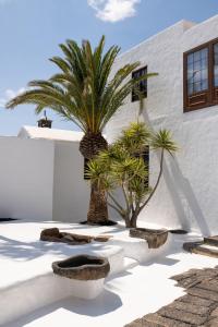 蒂亚斯Las Pérgolas Villa Rural的一座种有棕榈树的庭院和一座白色的建筑