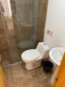 马尼萨莱斯Luxury Hostal的浴室配有卫生间、盥洗盆和淋浴。