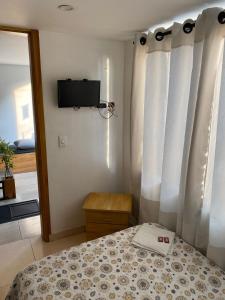 马尼萨莱斯Luxury Hostal的一间卧室配有一张带窗帘的床和电视。