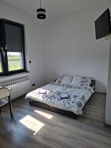 库特诺Noclegi 24/h Leszczynek的一间卧室配有一张床、一张书桌和一台电视