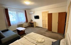 埃格尔艾维公寓的客房设有床、沙发和书桌。