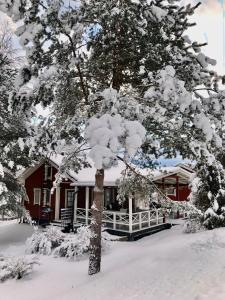 InkooHimalayan cabin Inkoo的房子前面的雪覆盖的树