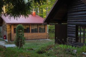 代尔尼采Kuća za odmor Curl的小木屋,设有红色屋顶