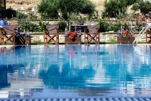 阿约伊阿波斯托洛伊阿尔戈酒店的一座拥有蓝色海水和椅子及鲜花的游泳池
