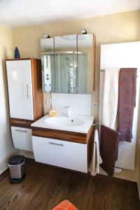 巴德塞尔佐根Ferienwohnung Ogger的一间带水槽和镜子的浴室