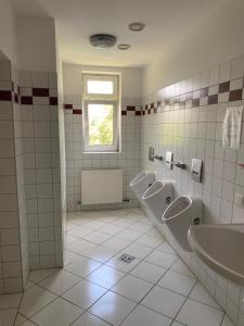 格拉茨Arbeiterwohnheim Workers Dormitory Graz的一间带3个小便池、水槽和窗户的浴室