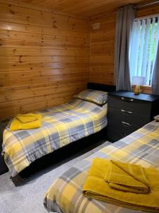 格伦德文Corrie Lodge, Glendevon的木墙客房的两张床