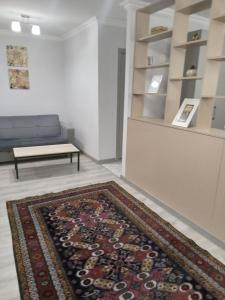 巴库Izmir Apartment的带沙发和地毯的客厅