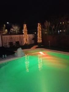 洛尔施Belle Etage geräumige Ferienwohnung mit Pool und Sauna的夜间在院子里的游泳池里点着圣诞灯