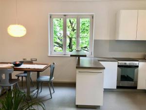 BronzoloGerwies-Hof的厨房配有桌子和窗户