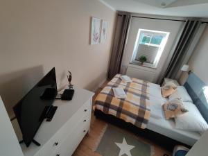 库多瓦-兹德鲁伊Apartament Lea w Kudowie Zdrój的一间卧室配有一张床和一张书桌及电视