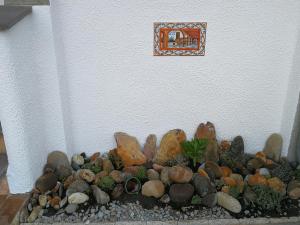卡斯特罗·德波利亚斯Villetta da Carla的岩石花园中岩石和植物的展示