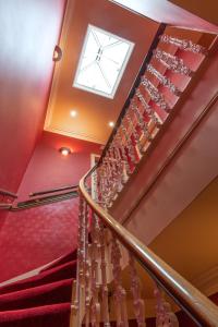 爱丁堡多尼亚同乐会酒店的螺旋楼梯,天花板上设有窗户
