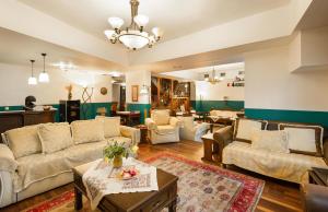 古迈尼萨季莫斯塞尼斯酒店的带沙发和桌子的客厅