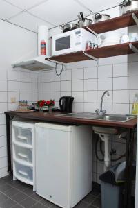 帕拉马里博Boom Apartments的厨房配有水槽和微波炉