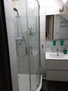 托农莱班CHARMANT APPARTEMENT的带淋浴和盥洗盆的浴室