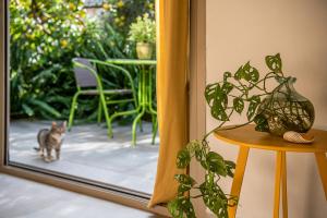 瓦莫斯Olive Lemon Biophilic House & Lush Forest Garden的一只猫站在玻璃推拉门前