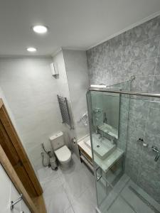 TürkistanOlympic Hotel的带淋浴、卫生间和盥洗盆的浴室