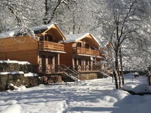 K'veda BzubzuCottages in mountains的雪地里的小木屋,有雪覆盖的树木