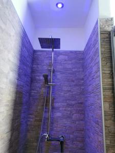 布林迪西Loft Porta Sud的带淋浴的浴室(带石墙)