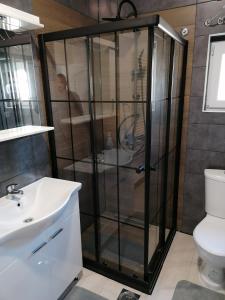 维舍格勒Apartman Dukat的带淋浴、水槽和卫生间的浴室