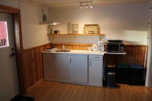 BrograngenSwedish Adventure的一间带水槽和微波炉的小厨房