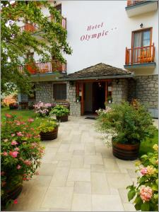 美特索文奥林匹克酒店的庭院内种植盆栽的酒店入口
