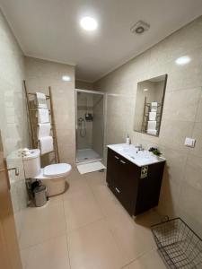丰沙尔Apartamentos da Sé Catedral的浴室配有卫生间、淋浴和盥洗盆。