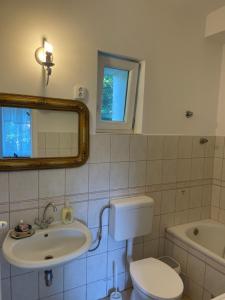 圣安德烈Pelini - 2的一间带水槽、卫生间和镜子的浴室