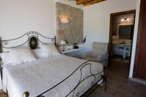 圣米克尔德巴兰Agroturismo Sa Vinya d'en Palerm的一间卧室配有一张床、一把椅子和镜子