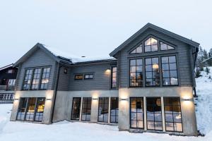 萨伦Sälen Mountain Lodge的雪中的房子,灯亮