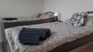 Heroldstatt2 Zimmer Appartements in Heroldsatt的一间卧室配有两张床和蓝色毛巾