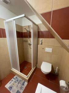 米库洛夫Alva Pension 2的带淋浴和卫生间的浴室