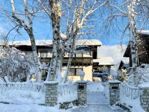 巴特恩多夫Birkenhof Apartments的雪覆盖着栅栏和树木的房子
