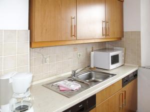 岑平Apartment Achterwasser - ZEM113 by Interhome的厨房配有水槽和微波炉