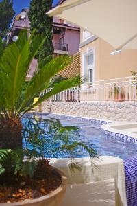 茨里克韦尼察Guest House Villa Dagmar的一座棕榈树游泳池,位于大楼旁