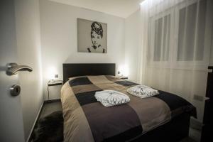 BogatićKoVeL apartmani - Termalna Rivijera的一间卧室配有一张带两个枕头的床