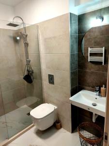 克拉约瓦Black&White Suites的浴室配有卫生间、淋浴和盥洗盆。