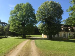 la Chartreuse du Domaine de la Graulet外面的花园