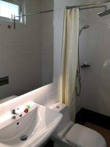 关丹Summer Green Lodge的一间带水槽、卫生间和淋浴的浴室