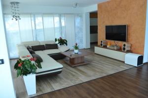Cehu SilvanieiAquangar的客厅配有白色沙发和电视