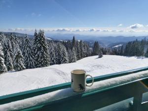VitanjeApartma Bellevue Rogla的雪中窗台上的咖啡杯