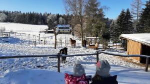 Bienenmühle"Sporthütten Nassau" Ihr zentrales Domizil an der Blockline的一群人在雪中看马