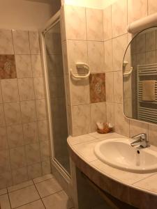 吕兹-圣索沃尔埃德拜斯全景酒店的一间带水槽和淋浴的浴室