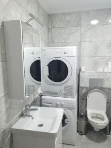 伊斯坦布尔中央公寓的一间带水槽、洗衣机和卫生间的浴室