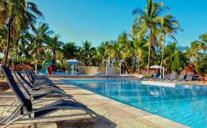 普鲁登特总统城CAMPO BELO RESORT的一个带躺椅的游泳池,棕榈树